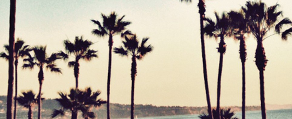 Californian Vintage Californian Vintage