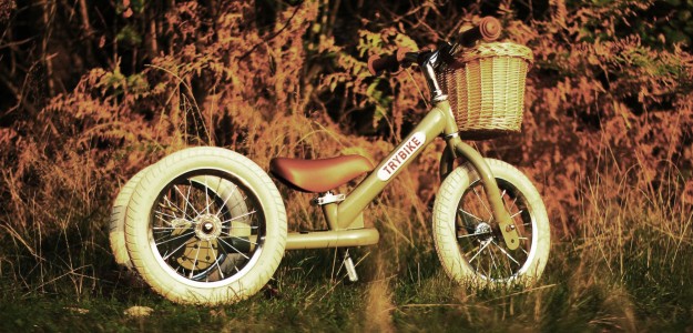 Trybike Trybike