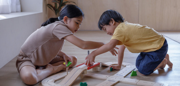 Plan Toys Plan Toys