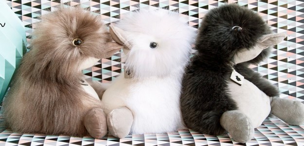 Histoire d'ours Histoire d'ours