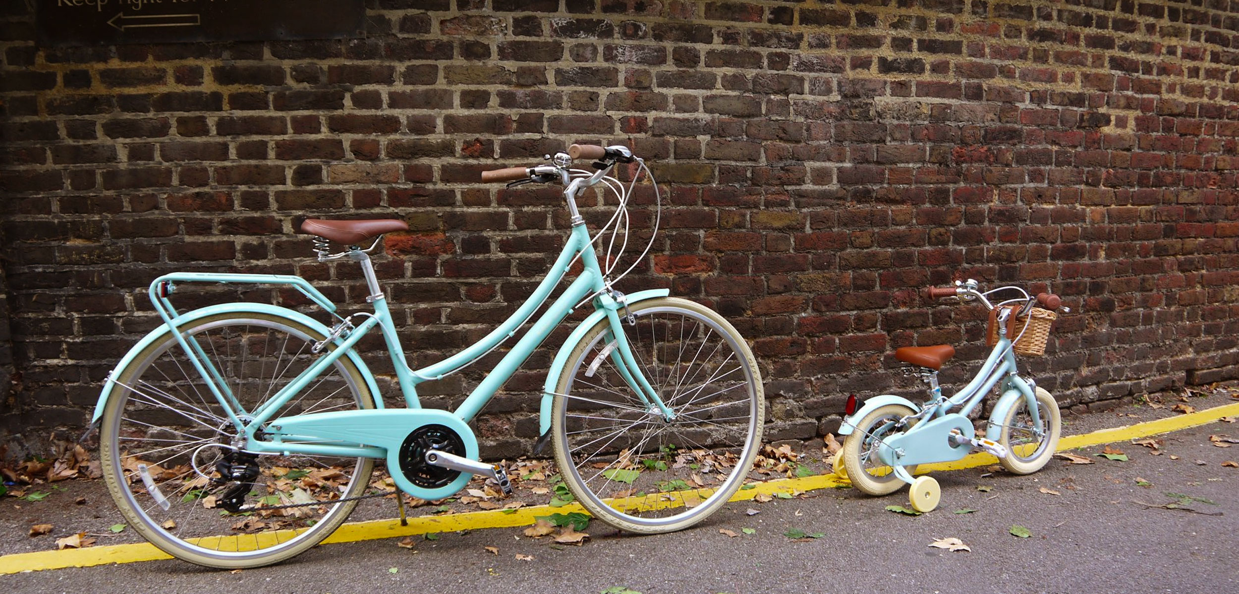 best 2 in 1 elliptical and bike