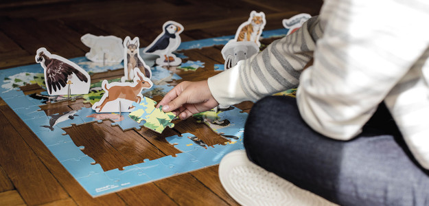 Chunky puzzle en bois thème de la ferme – Jouet 1er âge : Jeux et jouets  pour enfants JANOD maison - botanic®